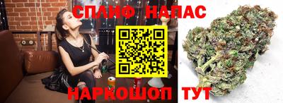 эйфоретик Донской