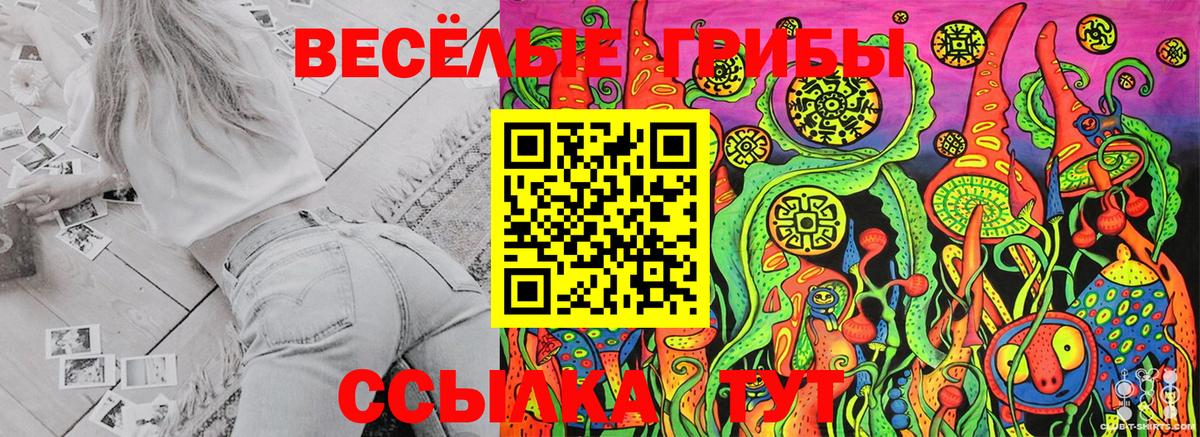 Галлюциногенные грибы Psilocybe  Псилоцибиновые грибы ЛСД  закладки  Вход с VPN  Мытищи 