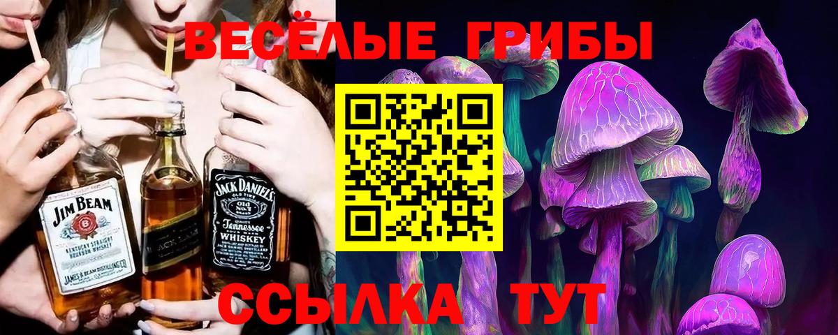 Меф кристаллы  Конопля  Вход с VPN  КОКАИН  Cocaine  ГАШ  Мытищи  Гашиш 